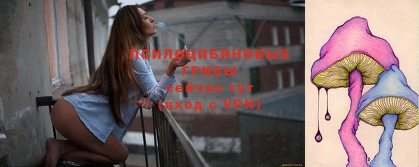 бутират Богородицк