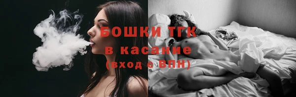 PSILOCYBIN Богданович
