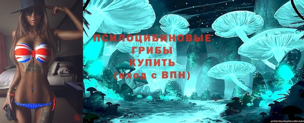 PSILOCYBIN Богданович