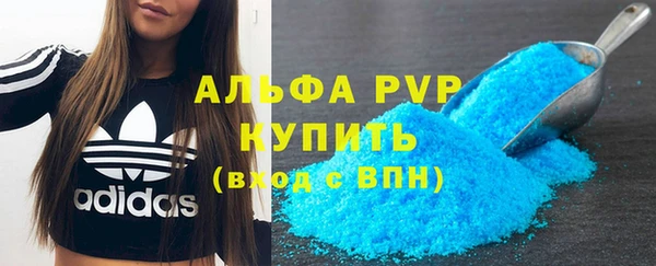 PSILOCYBIN Богданович